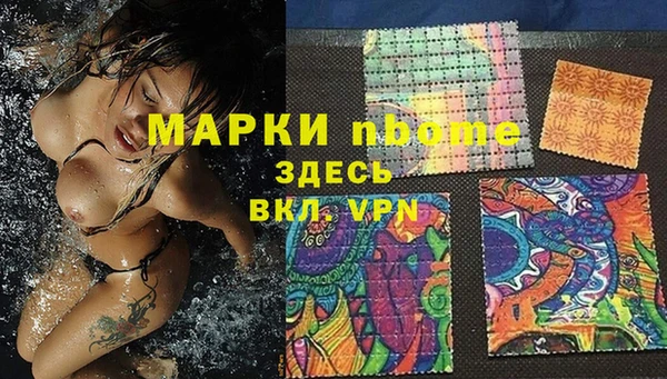 дурь Пестово