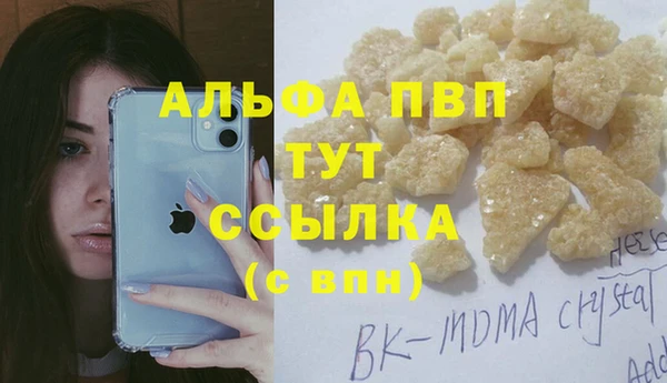 a pvp Пересвет