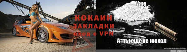 дурь Пестово