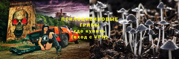 a pvp Пересвет