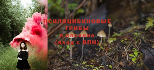 соль курить ск Переславль-Залесский