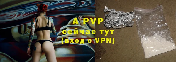 a pvp Пересвет