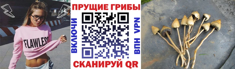 Псилоцибиновые грибы мухоморы  KRAKEN ссылки  Лаишево 